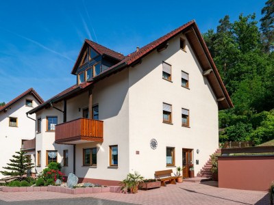 Apartment Ferienwohnung Hauk in Laudenbach - Apartment