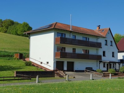 Apartment LandLeben in Steinbuch - Apartment