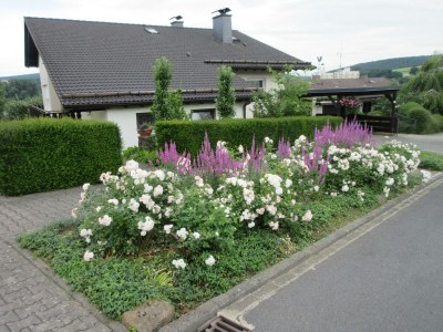 Apartment Ferienwohnung Obstgarten in Bad König - Apartment