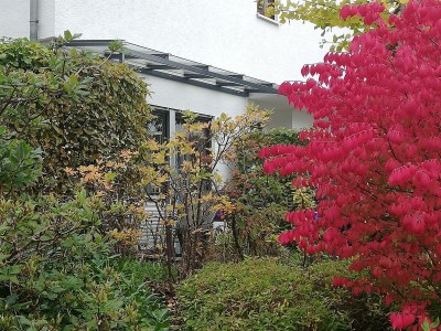 Apartment Annettes Ferienwohnung - Features photo 25