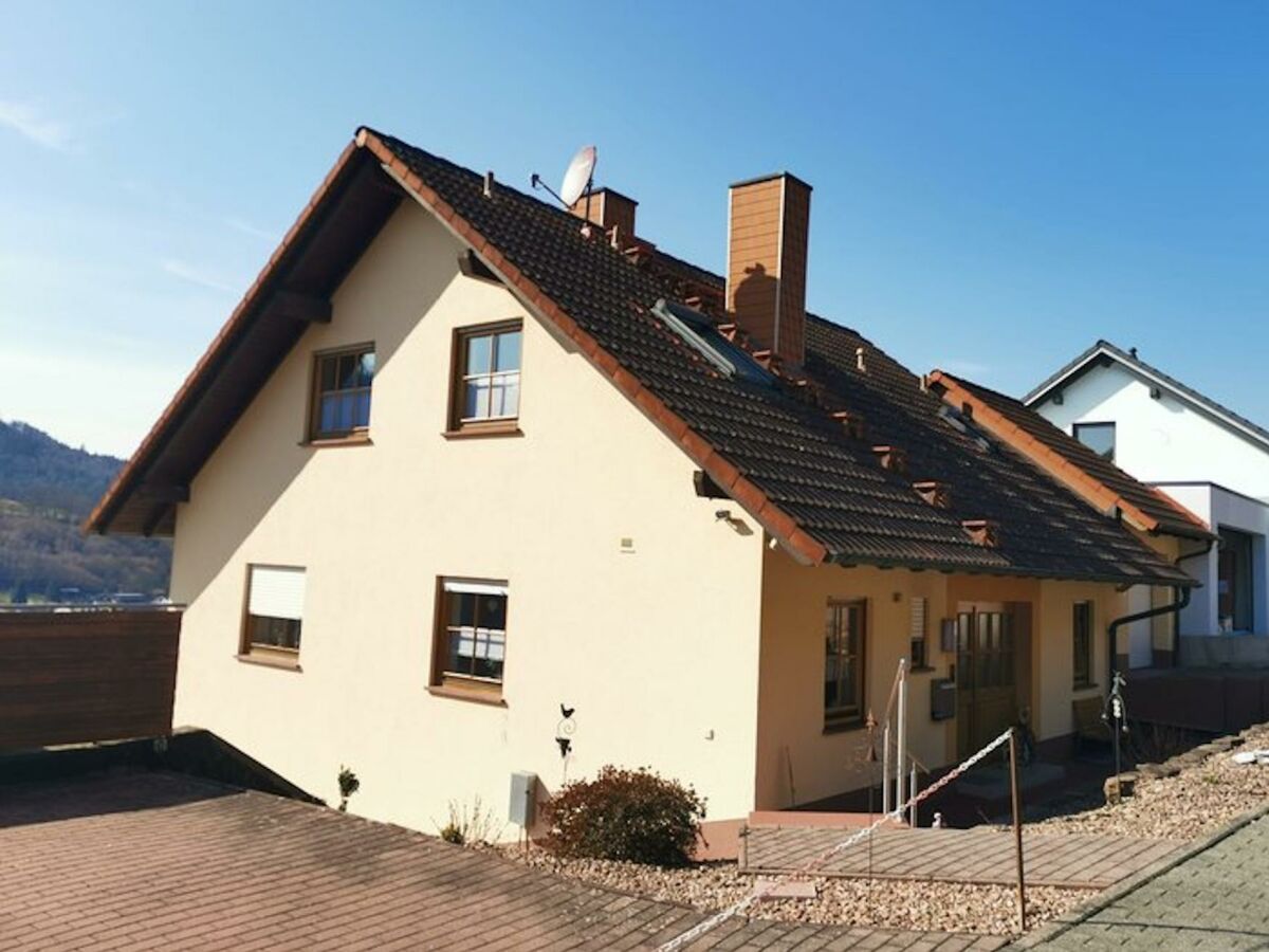 Apartment Ferienwohnung Fleckenstein