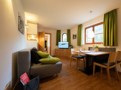 Apartment Appartement 44 m²/1 Schlafzimmer/1x DU/WC in Vandans - Apartment