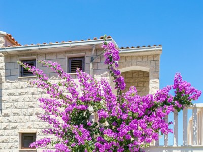 Apartment Two bedroom apartment with terrace Supetar, Brač A-5670-d - Outdoor photo 11