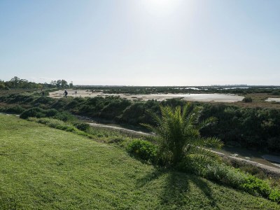 Apartment Rosamar - Apartment In Chiclana De La Frontera - Environment photo 30