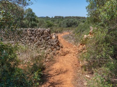 Villa Finca Can Guillem Boquet - Villa With Private Pool - Outdoor photo 23
