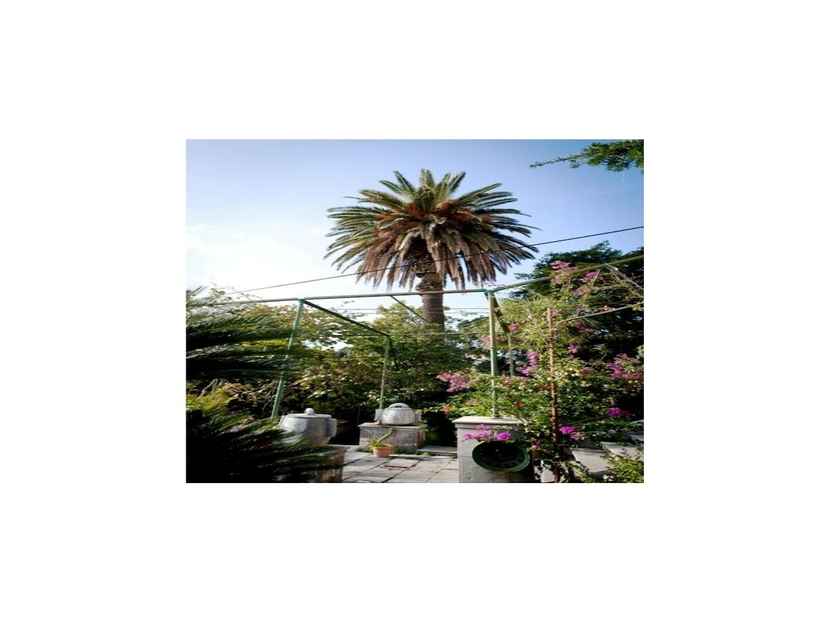 Apartment Villa Iveta - Triple Room with Private External Bathroom (Marija)