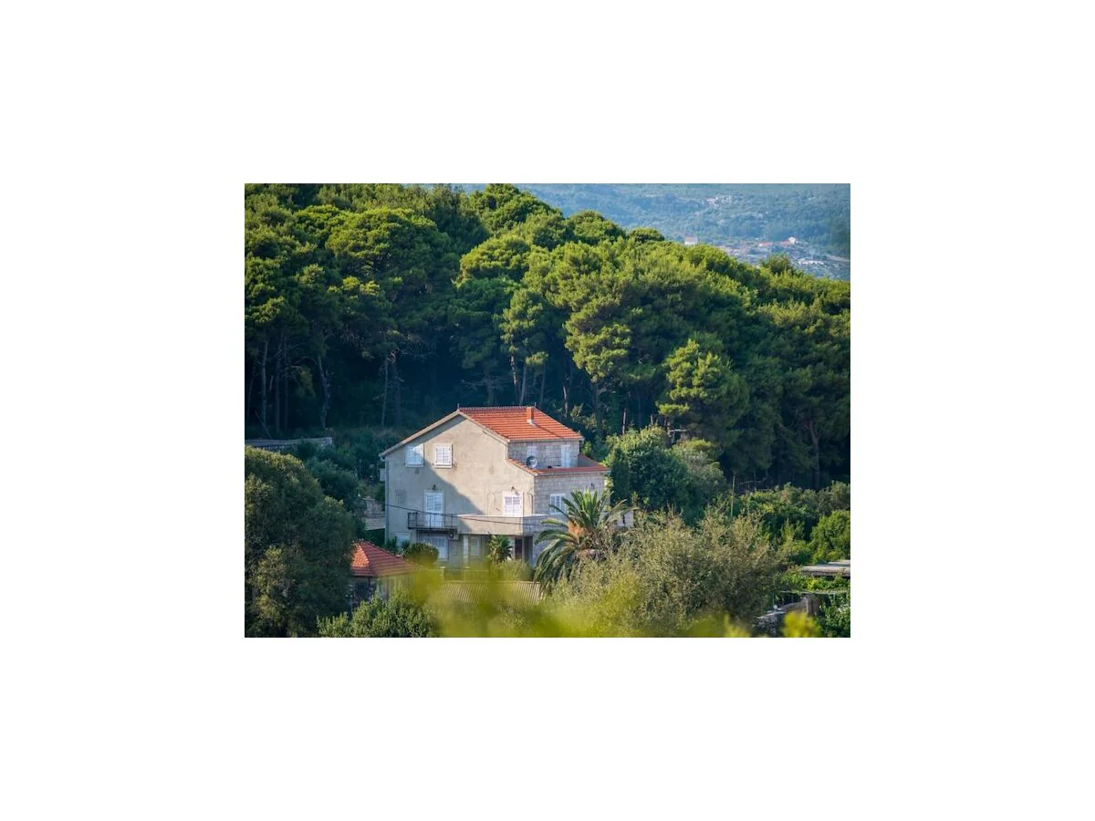 Apartment Apartments & Rooms Tapera- Standard Double Room with Terrace and Partial Sea View