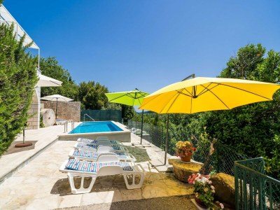 Holiday house House Kočan-Four Bedroom Villa with Terrace and Swimming Pool - Outdoor photo 45