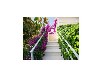 Apartment Apartments Roda - One Bedroom Apartment with Terrace (Mira) - (ST) - Outdoor photo 4