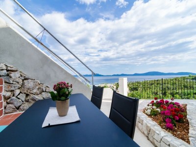 Villa Quiet SeaView Villa Dubrovnik Region - Three Bedroom Villa with Terrace and Swimming Pool in Doli - Villa