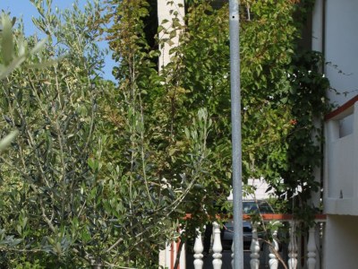 Apartment Two bedroom apartment with terrace Povljana, Pag A-6468-b - Outdoor photo 9
