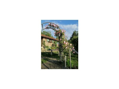 Apartment Lingg Oberberg Comfortable Vacation Home - Outdoor photo 11