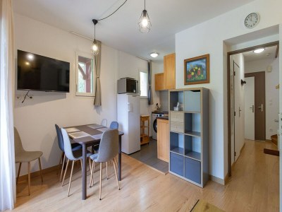 Apartment Alpine Retreat in Loudenvielle - Features photo 5