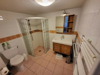 Apartment Peaceful Mountain Apartment in Morillon - Features photo 13