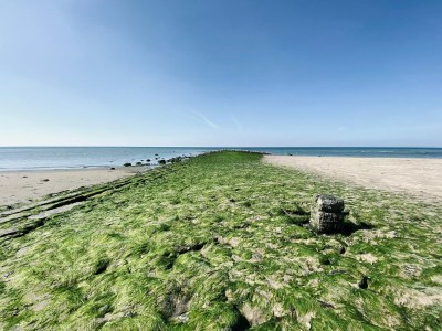 Holiday house Authentic cosy beach cottage in Callanstoog - Environment photo 29
