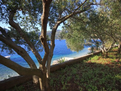 Apartment One bedroom apartment near beach Tri Žala, Korčula A-174-c - Outdoor photo 8