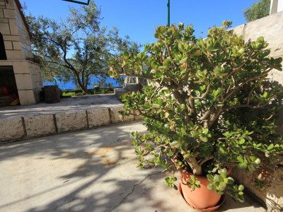Apartment Two bedroom apartment near beach Tri Žala, Korčula A-174-d - Outdoor photo 11