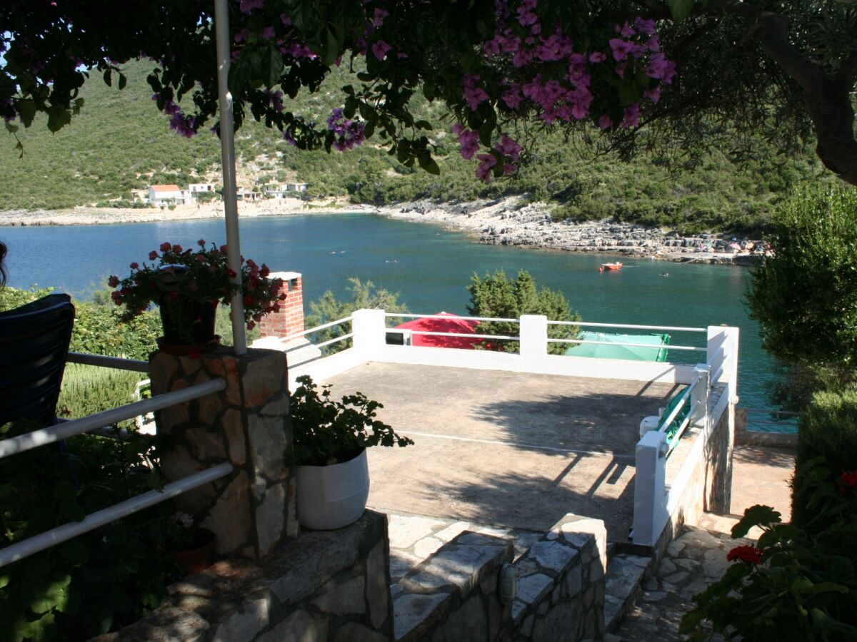 Apartment Two bedroom apartment near beach Cove Zarace (Gdinj), Hvar A-4598-b - Outdoor photo 5