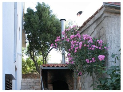 Apartment Two bedroom apartment near beach Cove Zarace (Gdinj), Hvar A-4598-c - Outdoor photo 8