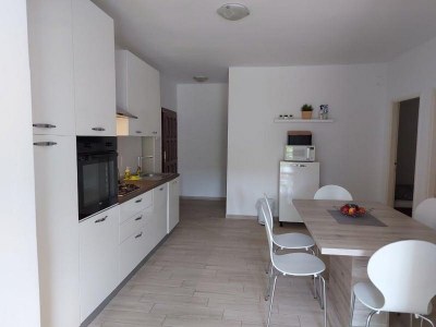 Apartment Three bedroom apartment with balcony and sea view Nečujam, Šolta A-13884-b - Outdoor photo 13
