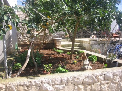 Apartment One bedroom apartment with terrace and sea view Lumbarda, Korčula A-18037-c - Outdoor photo 4