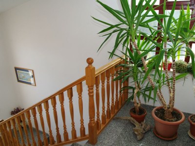 Apartment Two bedroom apartment with terrace and sea view Privlaka, Zadar A-19393-c - Outdoor photo 7