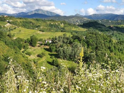 Castle Guest House in Monferrato with Wine Tasting - Environment photo 28