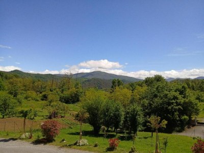 Apartment Guest House in Monferrato with Wine Tasting - Environment photo 32