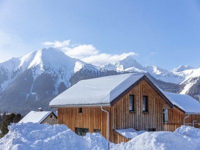 Chalet Chalet with infrared sauna - Outdoor photo 11