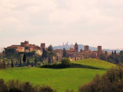 Holiday house Casa Il Gelsomino near Firenze,San Gimignano,Siena - Environment photo 32