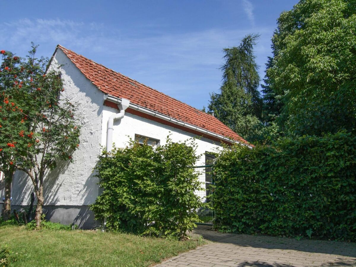 Holiday house Ferienhaus im Mueritz-Nationalpark - Outdoor photo 5