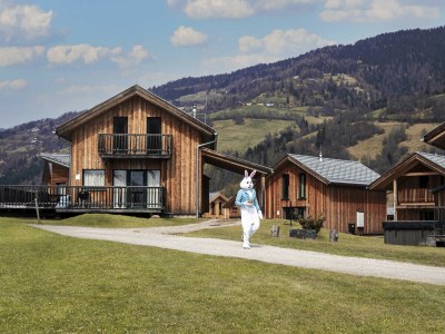Chalet Chalet # 53 mit 4 Schlafzimmern & IR-Sauna - Environment photo 29