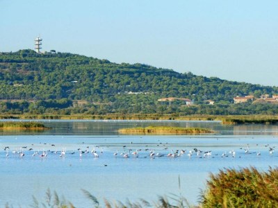 Holiday park Wohnung in Béziers nahe Mittelmeerstrände - Environment photo 27