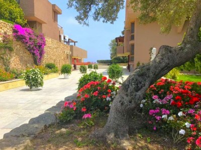 Apartment Ferienwohnung in Olbia mit Gemeinschaftsgarten - Outdoor photo 8