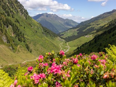 Holiday house Chalet im Zillertal nahe Skipisten & Whirlpool - Environment photo 25