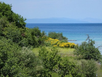 Apartment One bedroom apartment with terrace and sea view Kampor, Rab A-3214-c - Outdoor photo 10