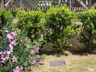 Apartment One bedroom apartment with terrace Banjol, Rab A-3215-a - Outdoor photo 13