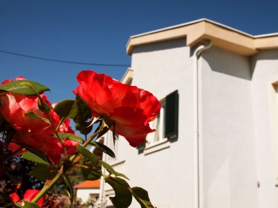 Apartment One bedroom apartment with terrace Banjol, Rab A-3215-c - Outdoor photo 10