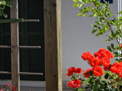 Apartment One bedroom apartment with terrace Palit, Rab A-3212-a - Outdoor photo 16