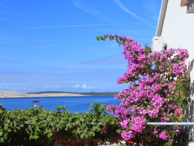 Apartment Two bedroom apartment near beach Kustići, Pag A-9360-d - Outdoor photo 10