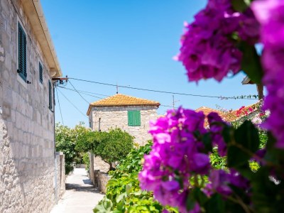 Apartment Three bedroom apartment with terrace Postira, Brač A-14822-a - Outdoor photo 3