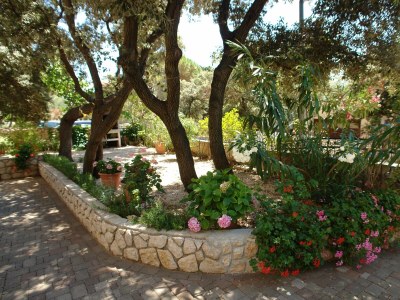 Apartment One bedroom apartment with terrace and sea view Mandre, Pag A-18748-f - Outdoor photo 7