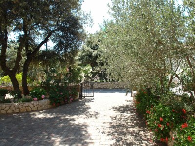 Apartment One bedroom apartment with terrace and sea view Mandre, Pag A-18748-g - Outdoor photo 6