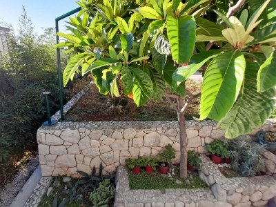Apartment Two bedroom apartment with terrace Brela, Makarska A-18417-a in Brela - Apartment