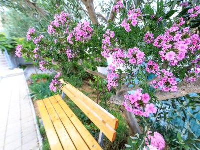 Apartment Studio flat with terrace and sea view Brela, Makarska AS-19998-b - Outdoor photo 13