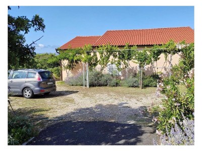 Apartment One bedroom apartment with terrace Barbat, Rab A-25028-a - Outdoor photo 6