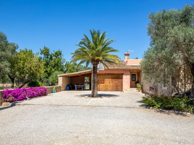 Holiday house Casa En Moscari near Platja de Muro - Outdoor photo 2