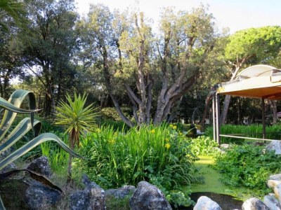 Holiday park Beach Chalet + Pool & Veranda - Outdoor photo 27