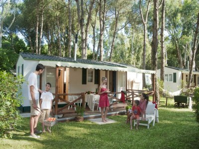Holiday park Modern Chalet w/ Pool Views in Cellole - Holiday park