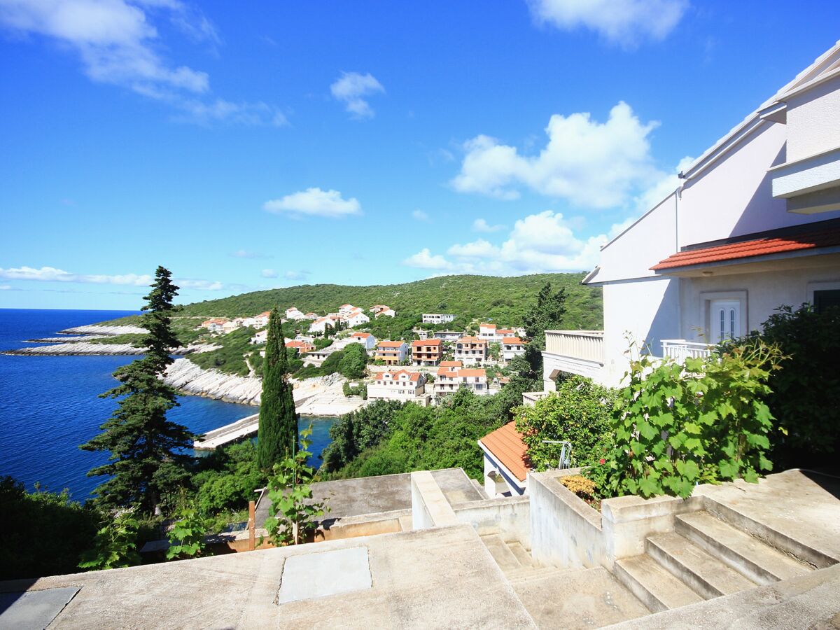 Apartment Three bedroom apartment with terrace and sea view Zavalatica, Korčula A-545-a